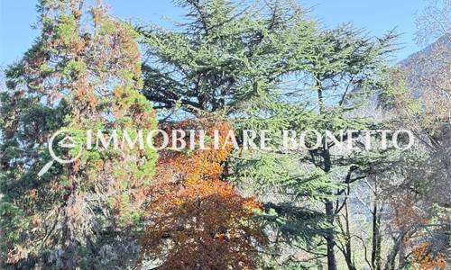 GRIES ALTA: MONOLOCALE CON CUCINA SEPARATA E TERRAZZO