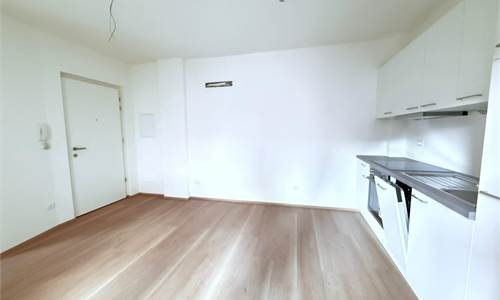 ZONA SAN QUIRINO: MONOLOCALE OTTIMO PER INVESTIMENTO